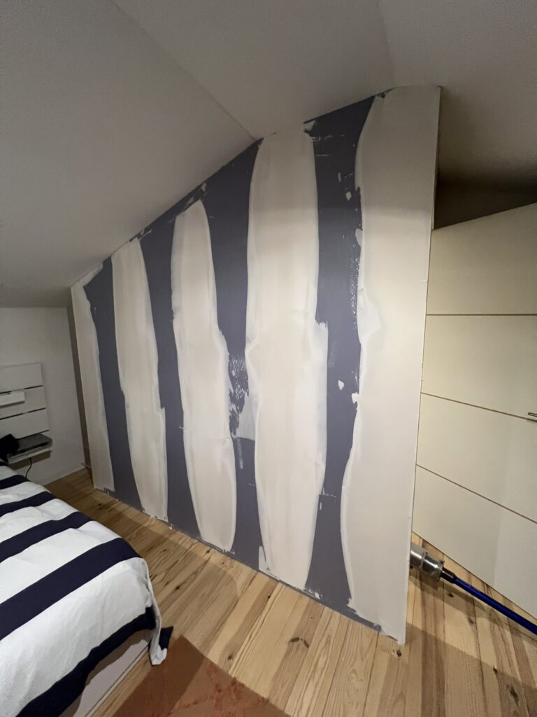 Création de cloison séparatrice acoustique et pose d'une porte